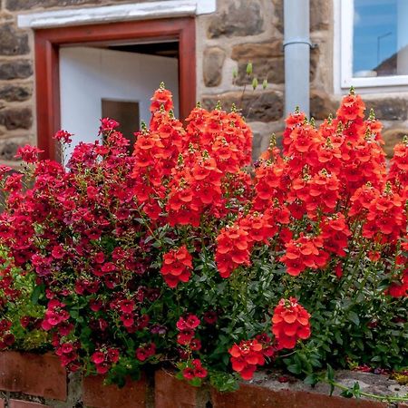 Chimes Cottage Guisborough Exterior photo